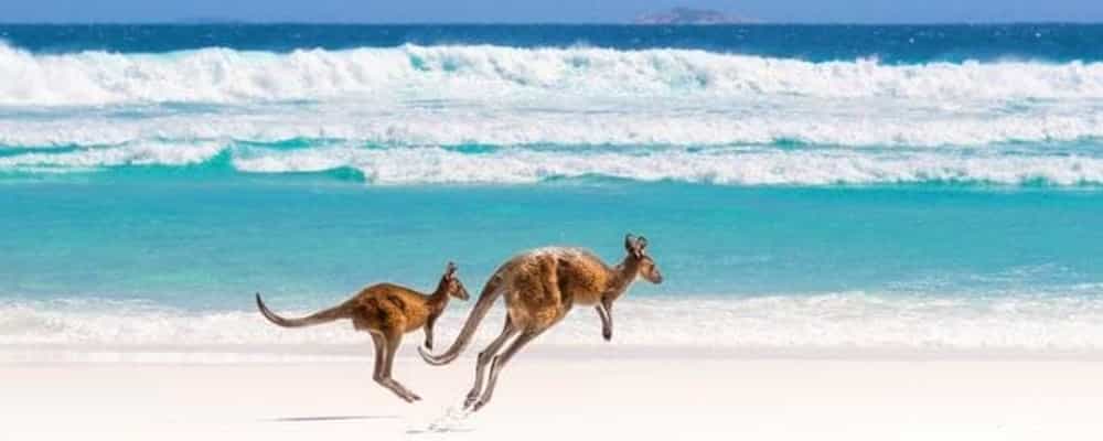 Esperance-Bucket-List-Adventure