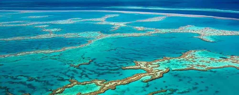 Great-Barrier-Reef-Must-See-Bucket-List