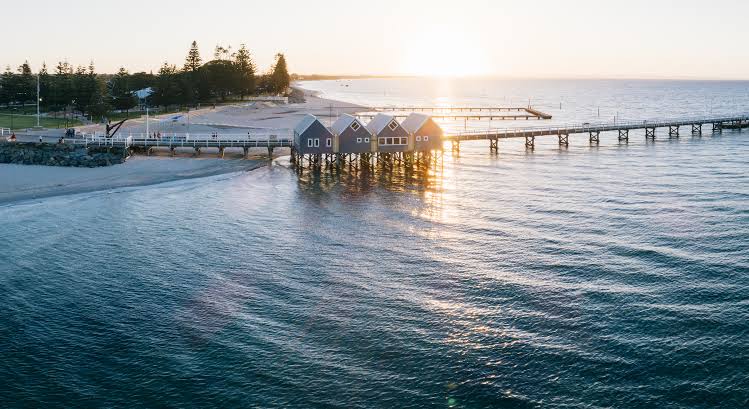 Dog friendly tour to the beach in Busselton