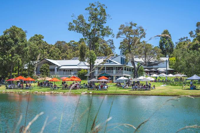 dog friendly wineries