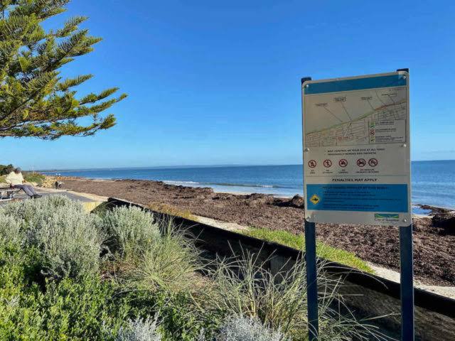Busselton dog beach 