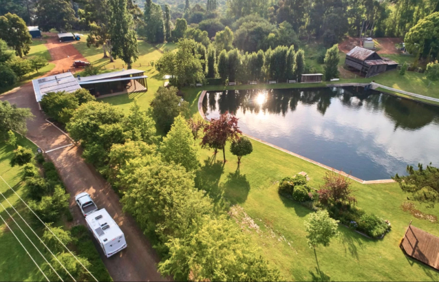 Dog friendly caravan park 