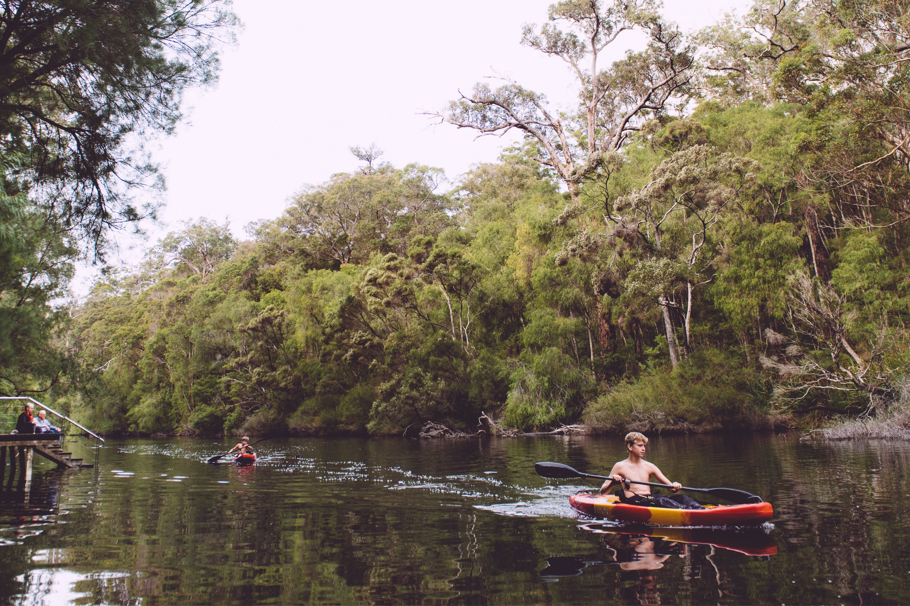 Kayakers in Warren River Pemberton Western Australia