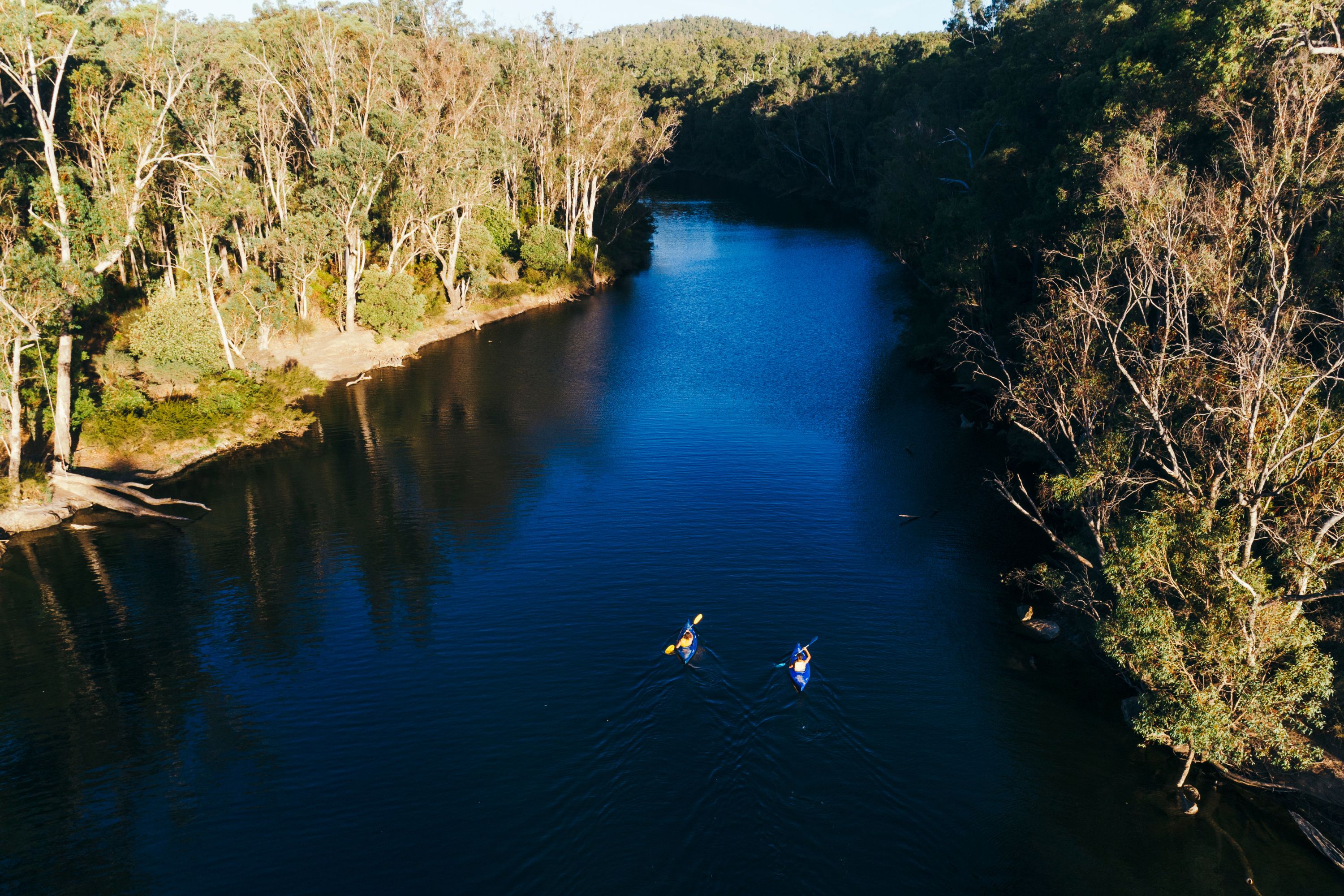 Campers Kayaking in Lane Poole Reserve